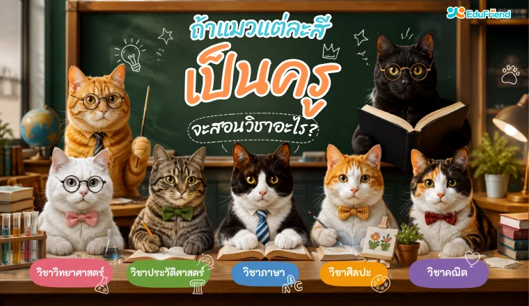 ถ้าแมวแต่ละสีเป็นครู…จะสอนวิชาอะไรกัน?