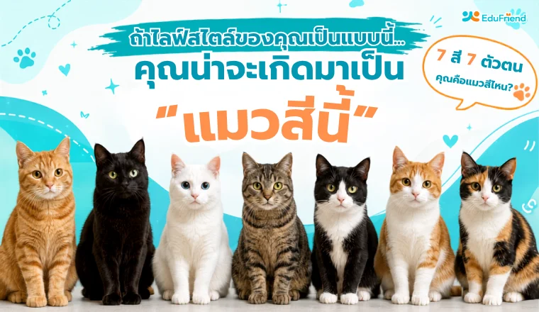 ถ้าไลฟ์สไตล์ของคุณเป็นแบบนี้…คุณน่าจะเกิดมาเป็น “แมวสีนี้”
