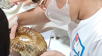 image 14.png